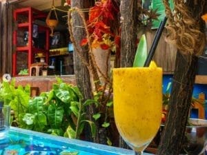 format at labohemecuracao 5d309ea99bece