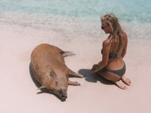 format at leaschmalz 5d309b0f3f178