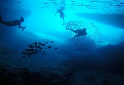 format blue room 5cb0ea2f4bad4