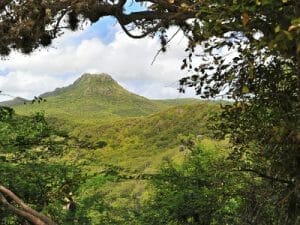 format dolfijngo 5d2cce830586f