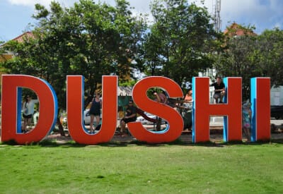 format dushi 1 5caf92ae329df