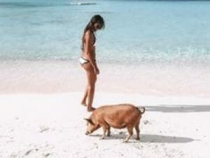 format es elsewhere 5d2cee261c4dc