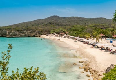 format grote knip 3 5d377a7e0b5c3