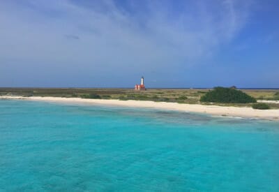 format klein curacao 4 5cb0e8c21d2e9