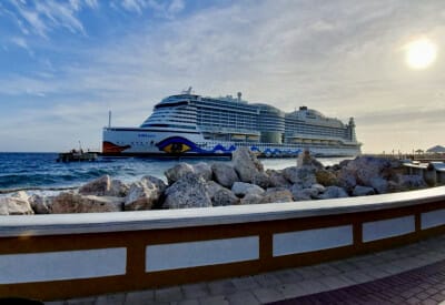 format willem boersma 5cf135de0f5e4