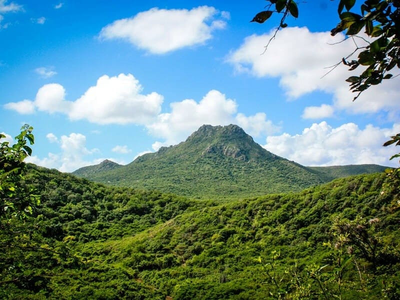 <span style="font-weight: 300">Christoffel National Park (Curacao)</span> large christoffelpark 60182485ce4f1