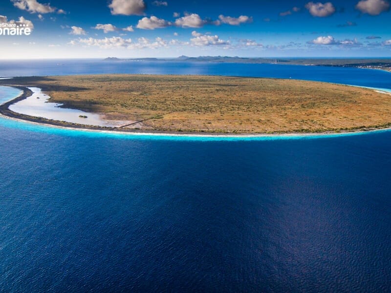 <span style="font-weight: 300"> Klein Bonaire </span> large klein bonaire 601825e0d0a87