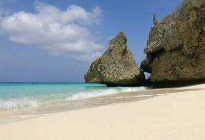 format img 3656 5ede6f85d0734