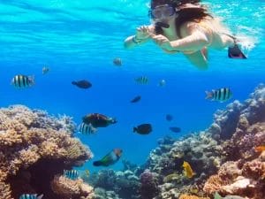 large 13 6283fbf7e0433