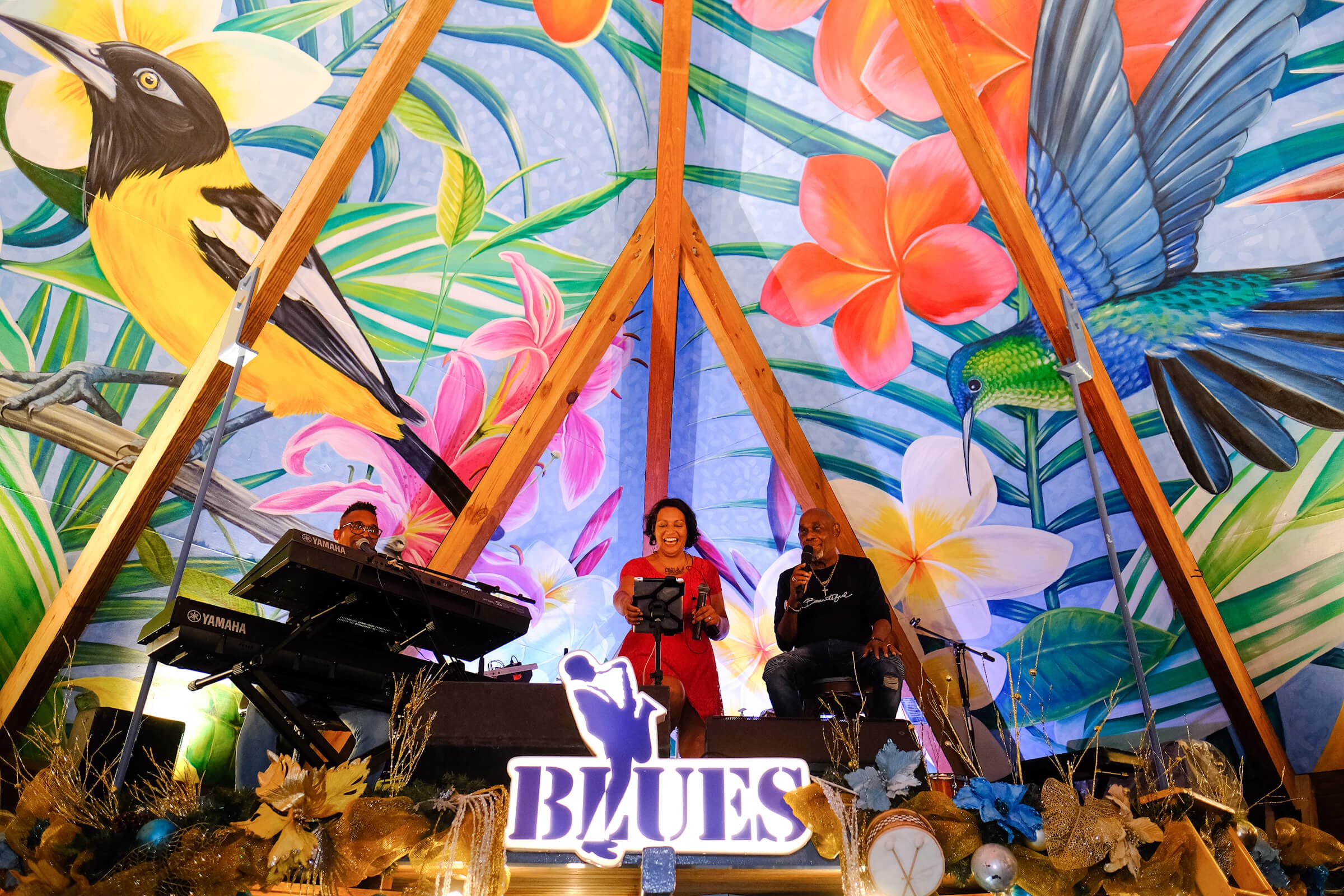 LiveMusicNight resized