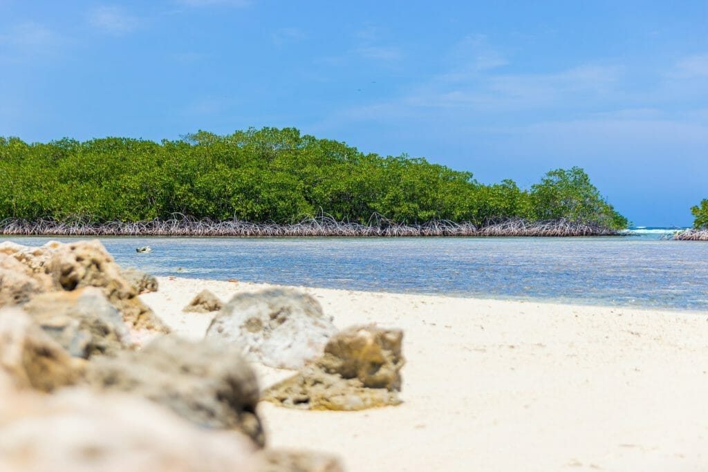 Blues Hinweise: Blau geht an den Strand