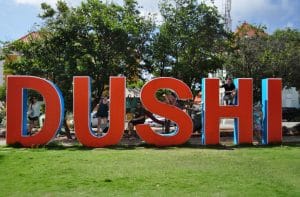 Dushi sign
