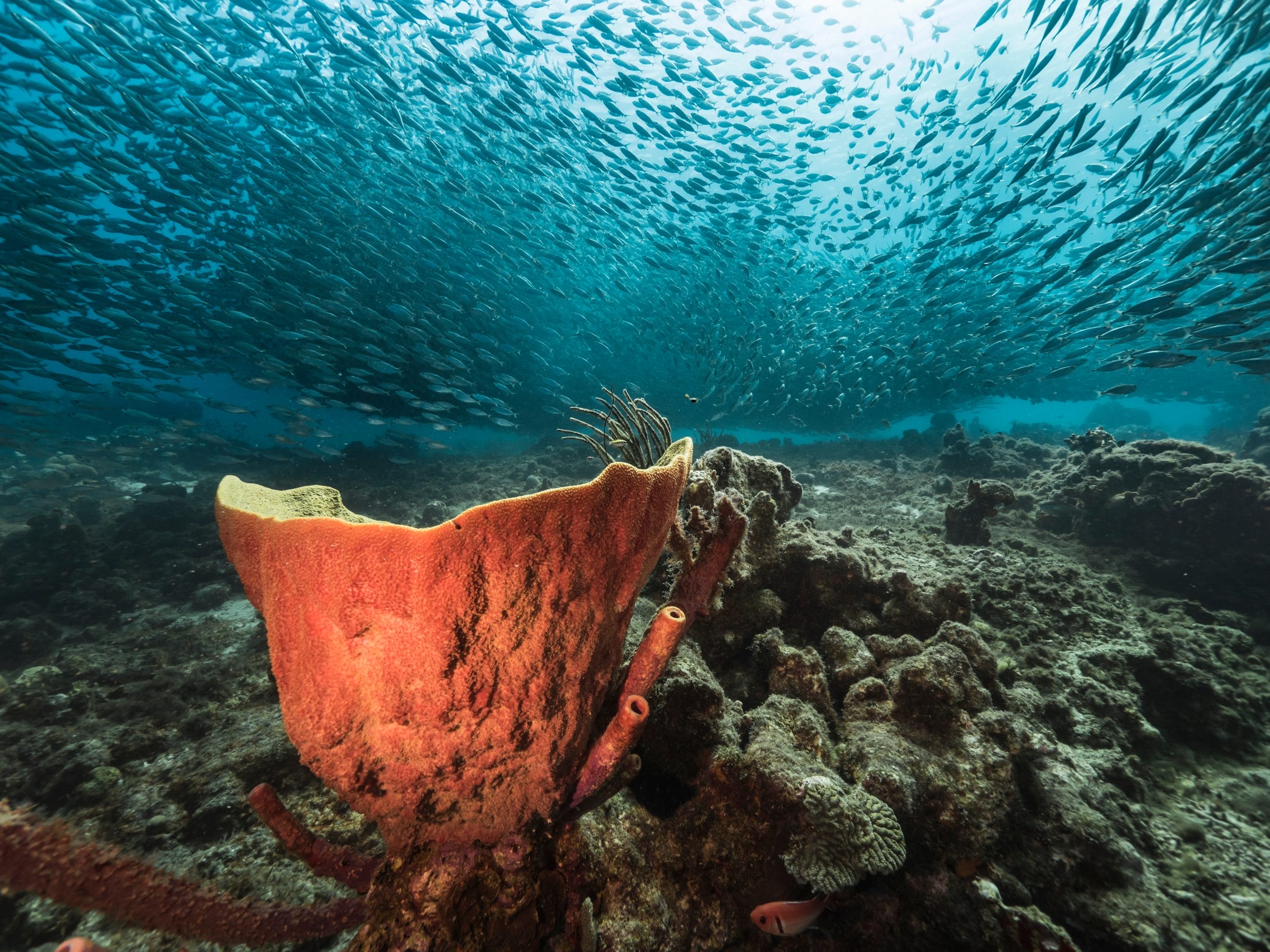 Additional Activities 3