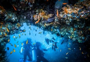 Tips for a Safe diving 2 Tips for a Safe diving 2
