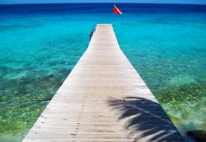 Tips for a Safe diving 3 Tips for a Safe diving 3