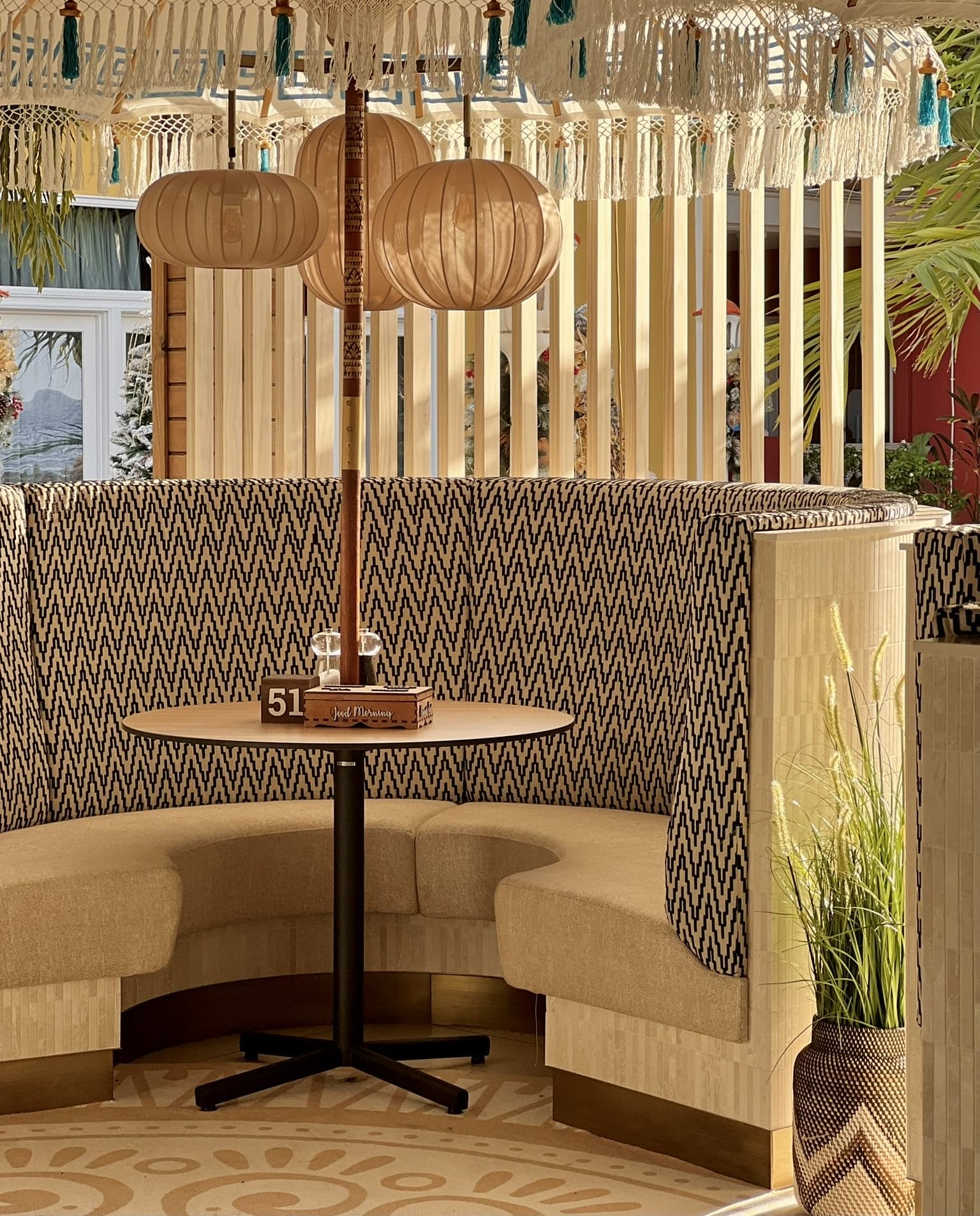 IMG 7855 e1734353409414